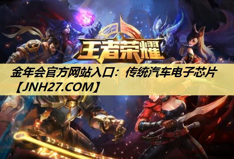 金年会官方网站入口：传统汽车电子芯片